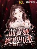 全球通缉全球缉捕少夫人全文免费阅读