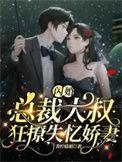 闪婚甜妻 总裁大叔宠上天