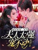 霸总宠妻超宠