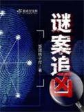 谜案追凶第一季美剧