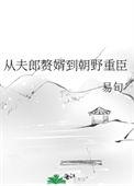 从夫郎赘婿到朝野重臣免费阅读