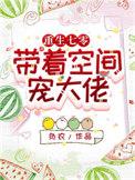 重生七零带着空间宠大佬作者负农