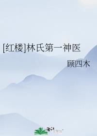 红楼之林氏穿贾史氏