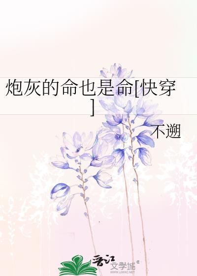 炮灰是什么意思啊