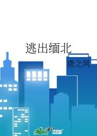 逃出缅北短剧演员表