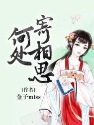 何处寄相思什么意思