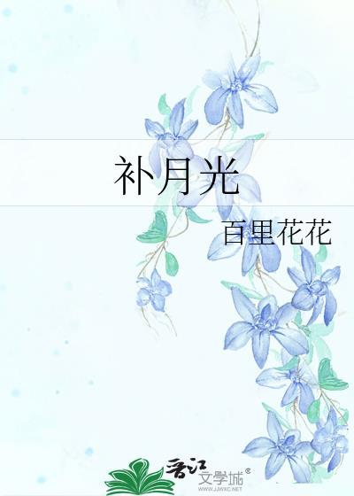 补月光TXT
