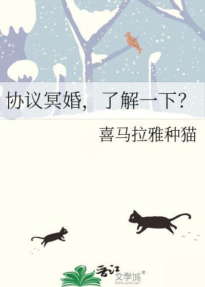 什么是协议婚姻