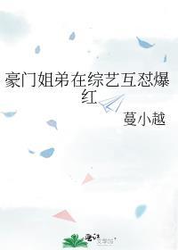 关于豪门姐弟恋的