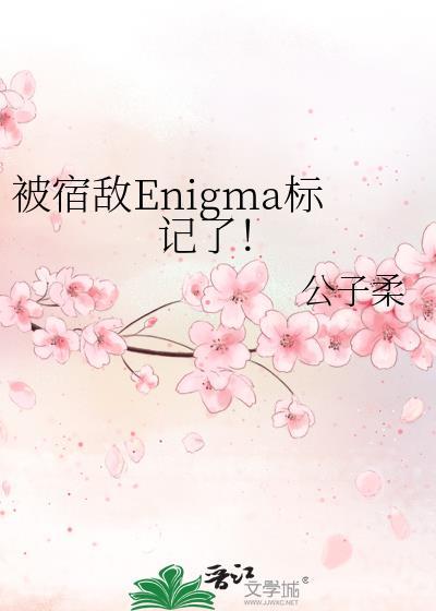 被宿敌Enigma标记了百度