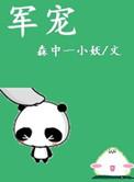 军宠推荐甜宠文