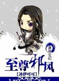 至尊邪皇百度百科
