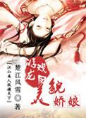 大明天子多少集