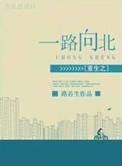 重生之一路向北txt百度