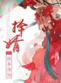 择婿聪慧贵女纨绔庶子