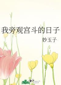 我旁观宫斗的日子作文