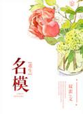 重生 名模 女主安宁