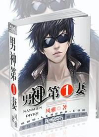 男神第一妻剧透