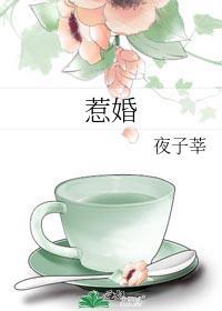 惹婚夜子莘txt