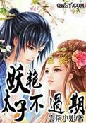 妖娆太子妃花城
