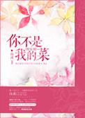 你不是我的菜什么歌