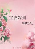 宝妻所有的
