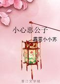 小心恶公子霹雳小小苏
