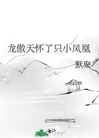 龙傲天怀了只小凤凰晋江