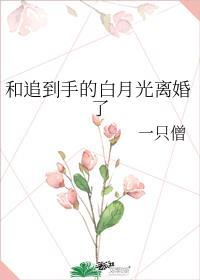 和追到手的白月光离婚了 百度