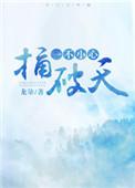 一不小心捅破天讲了什么