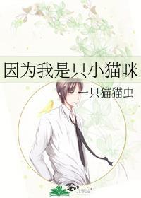 不知道怎么解释因为我只是一只小猫咪
