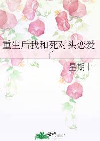 重生后我和死对头组了cp