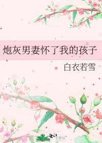 炮灰男妻怀了我的孩子白衣若雪