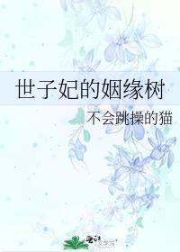 世子妃最后怀孕了吗