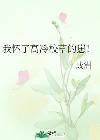 我怀了高冷校草的崽免费阅读