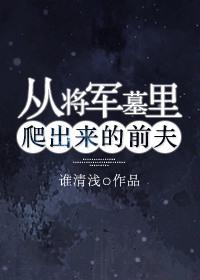 电视剧从将军