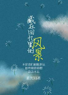 藏在我回忆里的风景