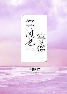 我在等风也等你