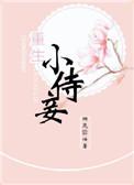 重生之小侍妾若干人