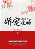 相国夫人娇宠攻略