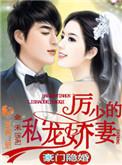 豪门隐婚历少的私宠妻免费阅读