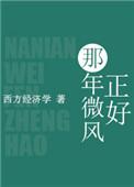 那年微风正好免费阅读