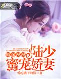 婚途漫漫陆少