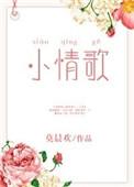 小情歌歌词图片