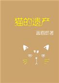 猫的遗产攻略
