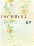网王之彼岸残夜