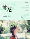 暗宠南枝裴家八小姐