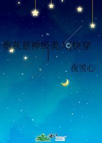 时间暂停以后我为所欲为无限游戏