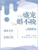 盛宠婚不晚TXT