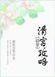 清宫升职记(清穿)颜纬